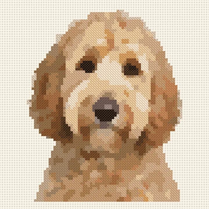 Free Goldendoodle cross-stitch pattern, stitched preview
