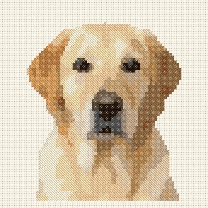 Free Labrador Retriever cross-stitch pattern, stitched preview