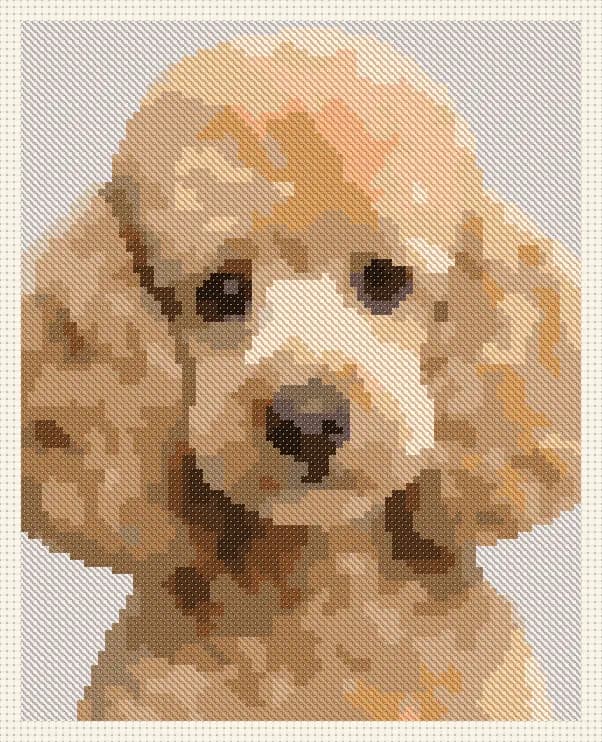 Free Poodle cross-stitch pattern, stitched preview