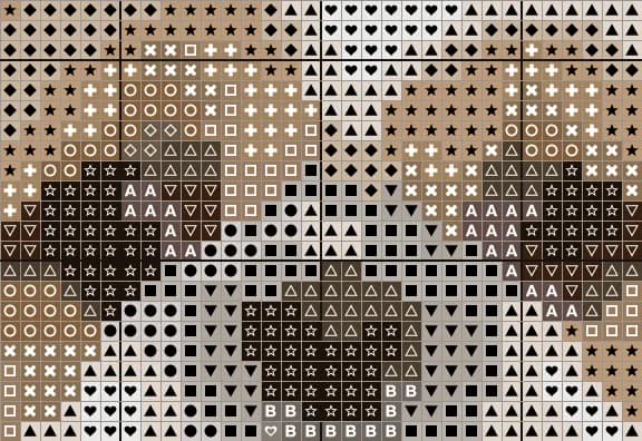 Close-up of the Shih Tzu chart around the eyes, with a symbol in every square